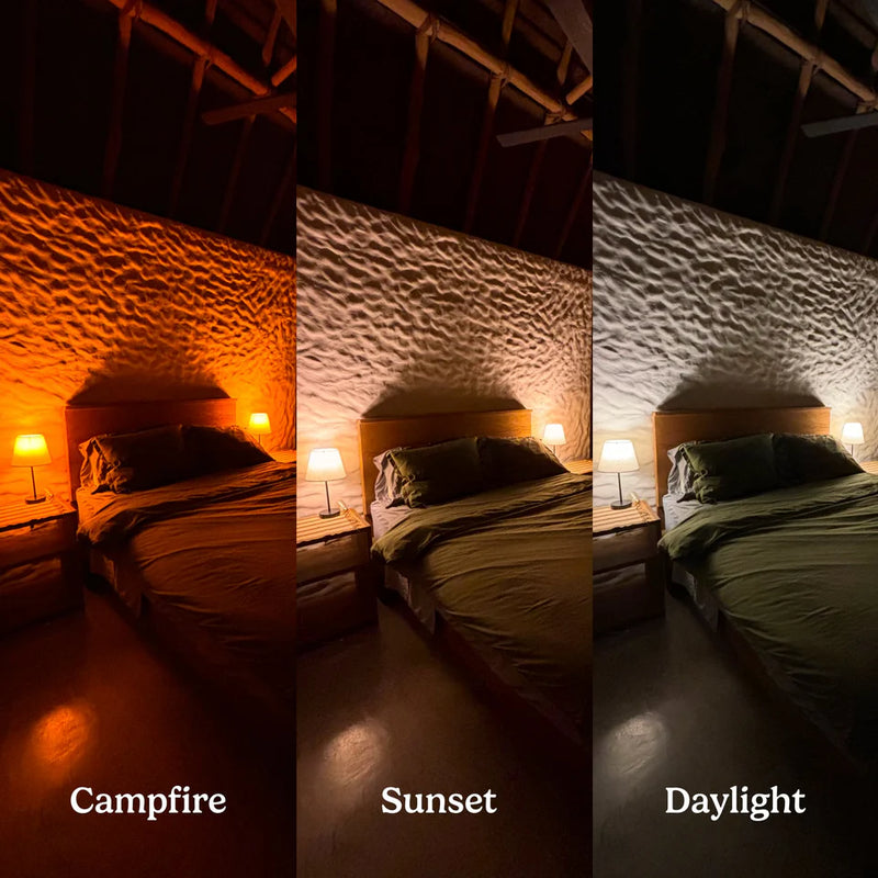 The Healthy Home Circadian Lightbulb