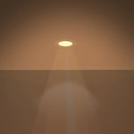 files/Panel-Ceiling-2100k-Small_960x_crop_center_jpg.webp