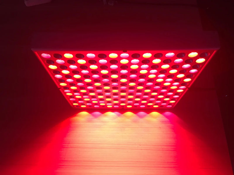 GembaRed Rex 2.0 NIR & Red LED Light Panel